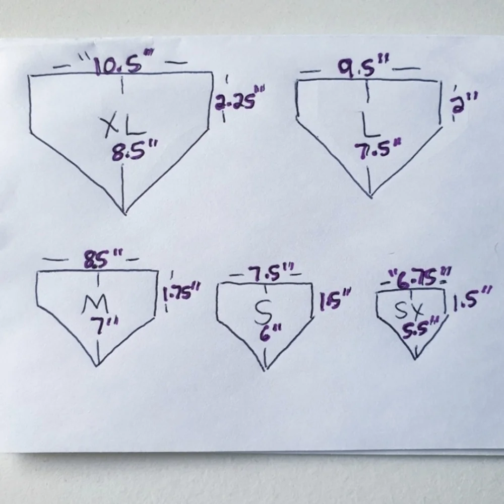 🐶 3 for $15 * Pablo Dora The Explorer Over The Collar Dog Bandana - Picture 4 of 6